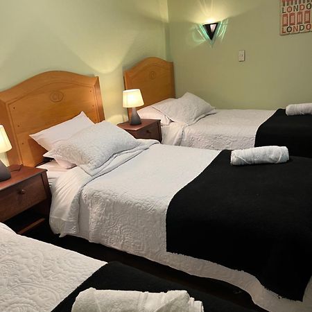 Hotel Nova Vida Concepción Dış mekan fotoğraf